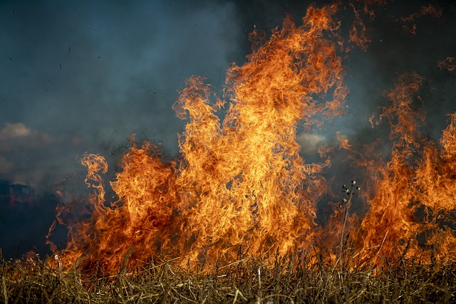  Emergenza incendi boschivi, proclamato lo stato di grave pericolosità fino al 30 settembre 2024 